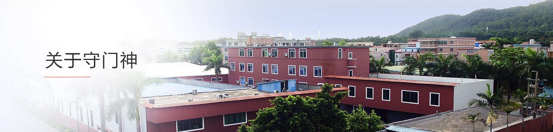 廣東www.91科技集團有限公司